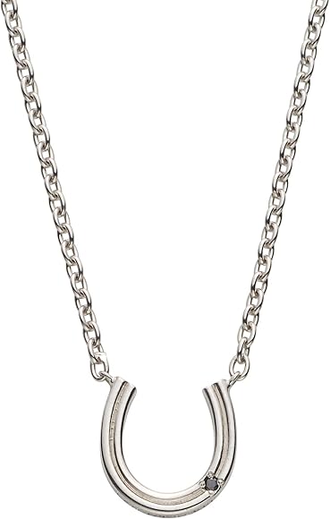 L.A.H. Vendome Aoyama ホースシュー ネックレス L.A.H. Vendome Aoyama ホースシュー ネックレス